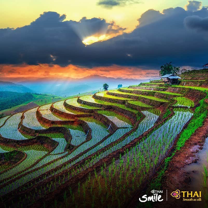 タイ航空さんのインスタグラム写真 - (タイ航空Instagram)「Mae Chaem District in Chiang Mai, Thailand, never fails to charm its visitors with its breath-taking views of terraced rice paddies atop verdant hills and serene villages. . #ThaiAirways #MaeChaem #TerracedRicePaddies #ChiangMai #Thailand #NorthernThailand #FlyTHAItoThailand #FlyTHAItoChiangMai」8月15日 0時43分 - thaiairways