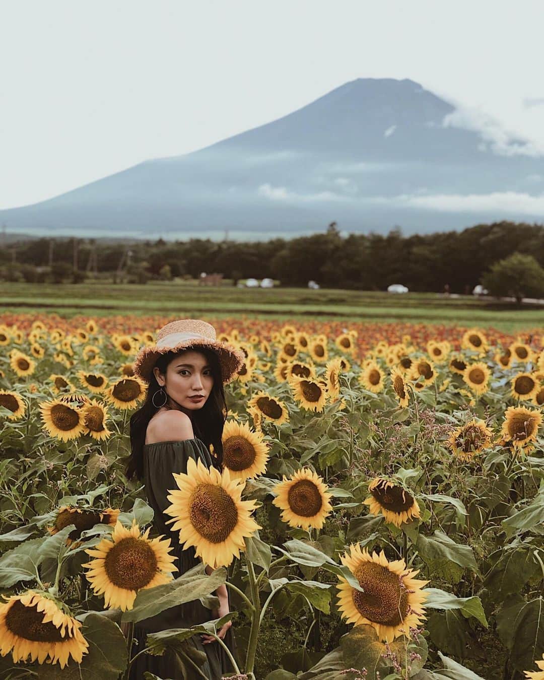 吉田愛璃のインスタグラム：「. . 🌻🌻🌻🌻🌻🌻🌻 . . #日本の夏 #japansummer #ひまわり畑 #ひまわり畑🌻 #富士山 #fujimountain #山梨 #山中湖 #山中湖花の都公園 #ブヨに刺された #夫婦で仲良く #腫れまくる #これも思い出😂」