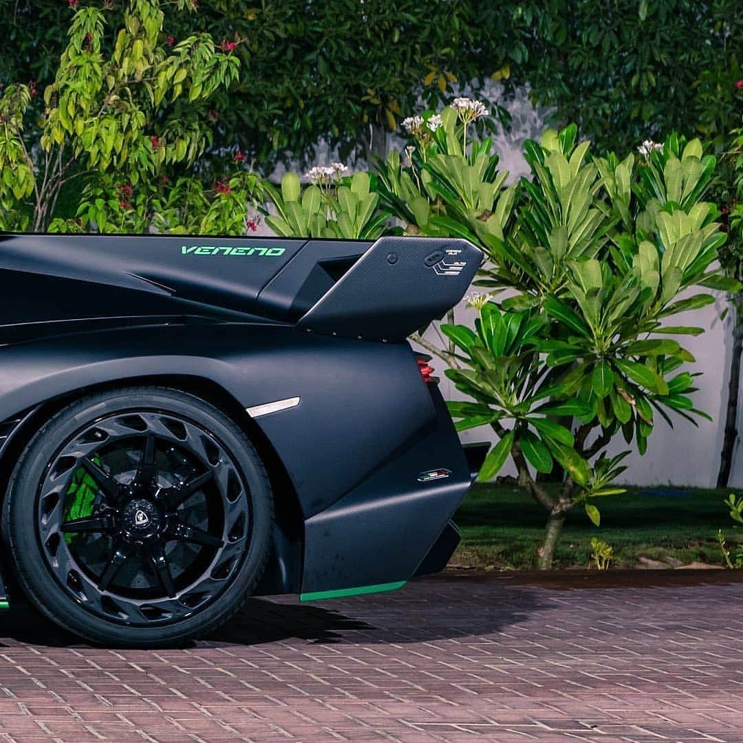 Kik:SoLeimanRTさんのインスタグラム写真 - (Kik:SoLeimanRTInstagram)「Lamborghini Veneno roadster!  Photo by @aldric_a」8月15日 2時37分 - carinstagram