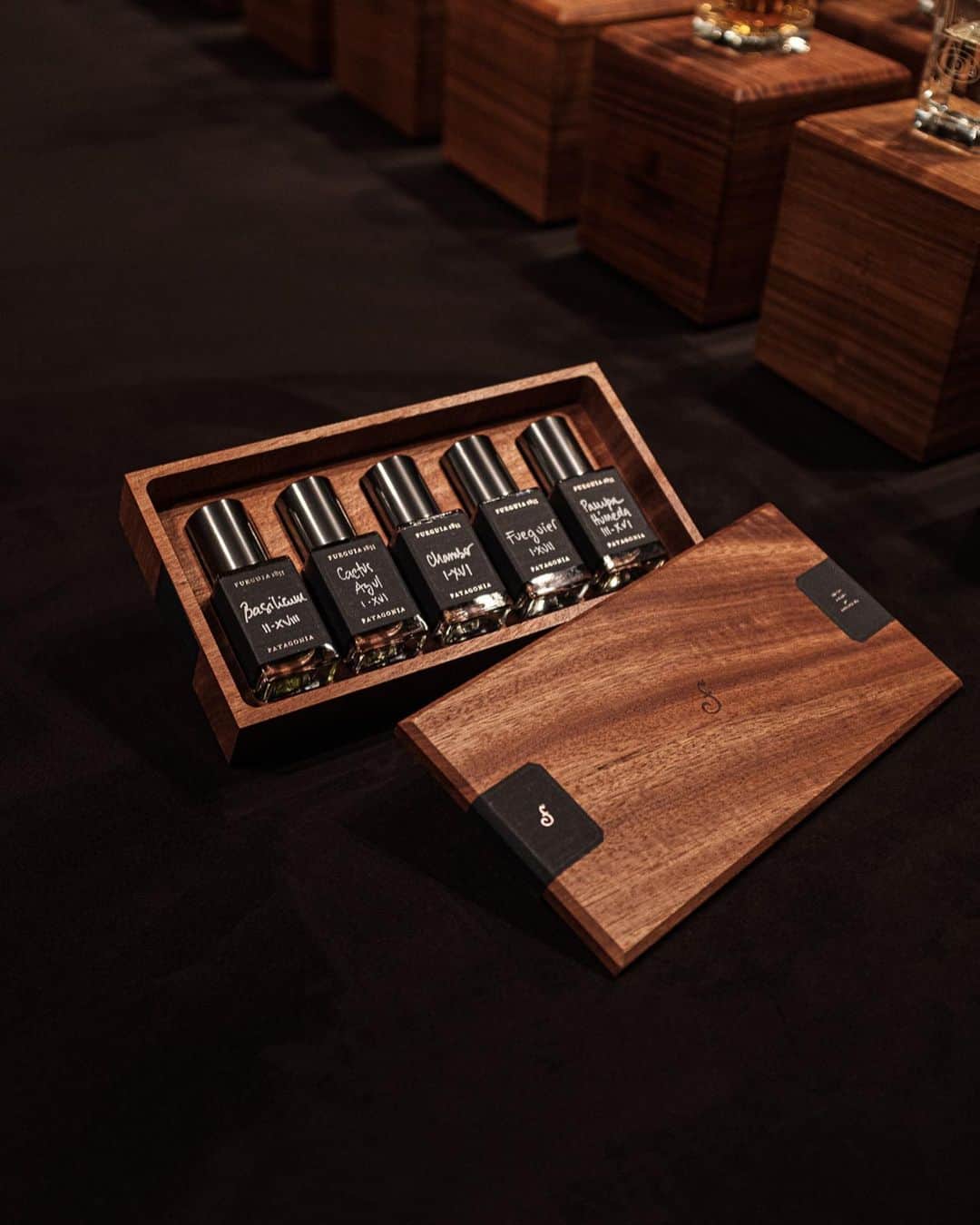 Fueguia 1833さんのインスタグラム写真 - (Fueguia 1833Instagram)「Introducing our new Bitácora Collection, created to become a traveling accompanying elixir.  A collection of nine boxes organized around ingredients families. Each box is handmade in mahogany wood and contains five of our favorites perfumes in 15ml size.  #fueguia #perfumes #naturalperfume #patagonia」8月15日 12時58分 - fueguia1833