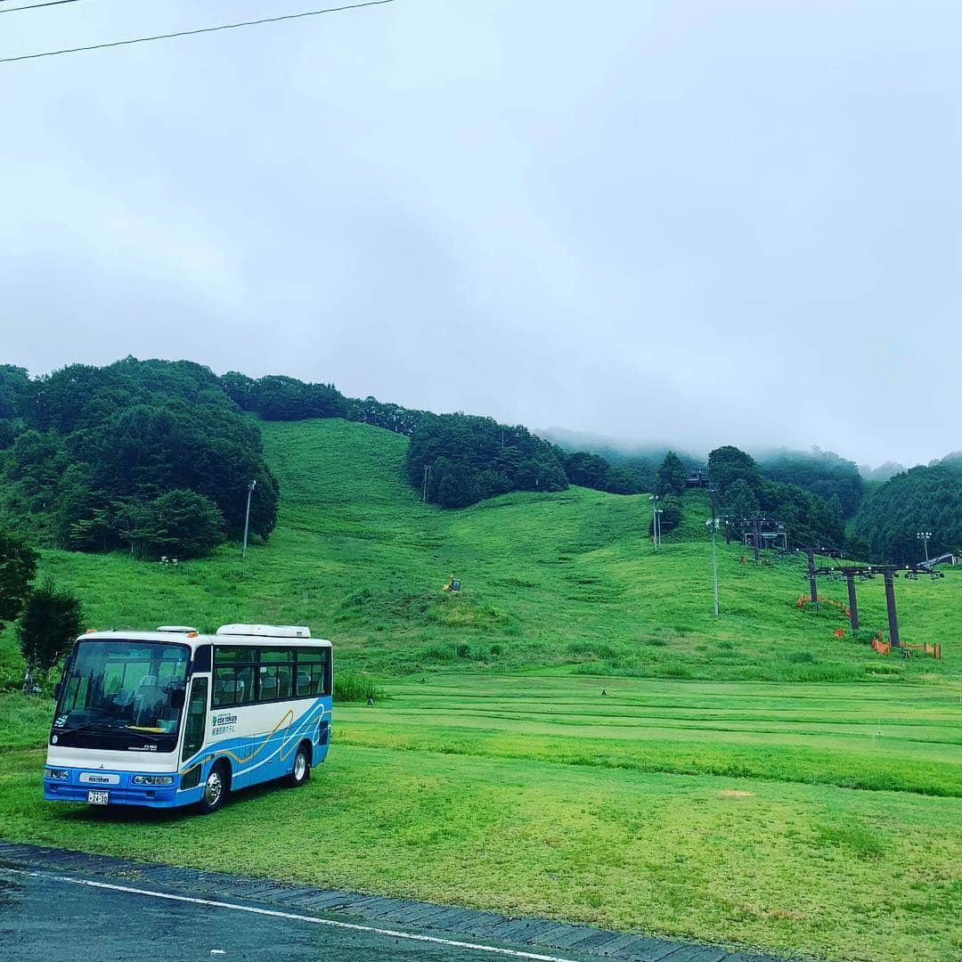 高尾千穂のインスタグラム：「涼しい！夏の戸倉は緑が綺麗。」