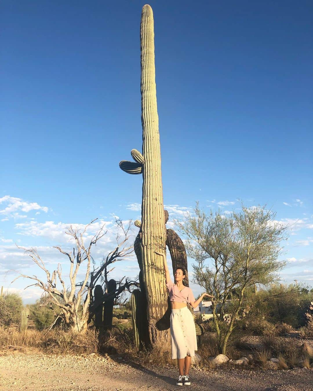 ダナイ・ガルシアさんのインスタグラム写真 - (ダナイ・ガルシアInstagram)「You know when nature decides amuse you. 🌵👑 #queen  Our goals can only be reached through a vehicle of a plan, in which we must fervently believe, and upon which we must vigorously act.  #thisishappening #nature #longride #universeonmyside #workflow #light #vida #universeonmyside #gratitude #gracias #love #danaygarcia #cactus #onthego #queenstyle  Never forget the magic 🌻👑」8月15日 13時05分 - danaygarcia1