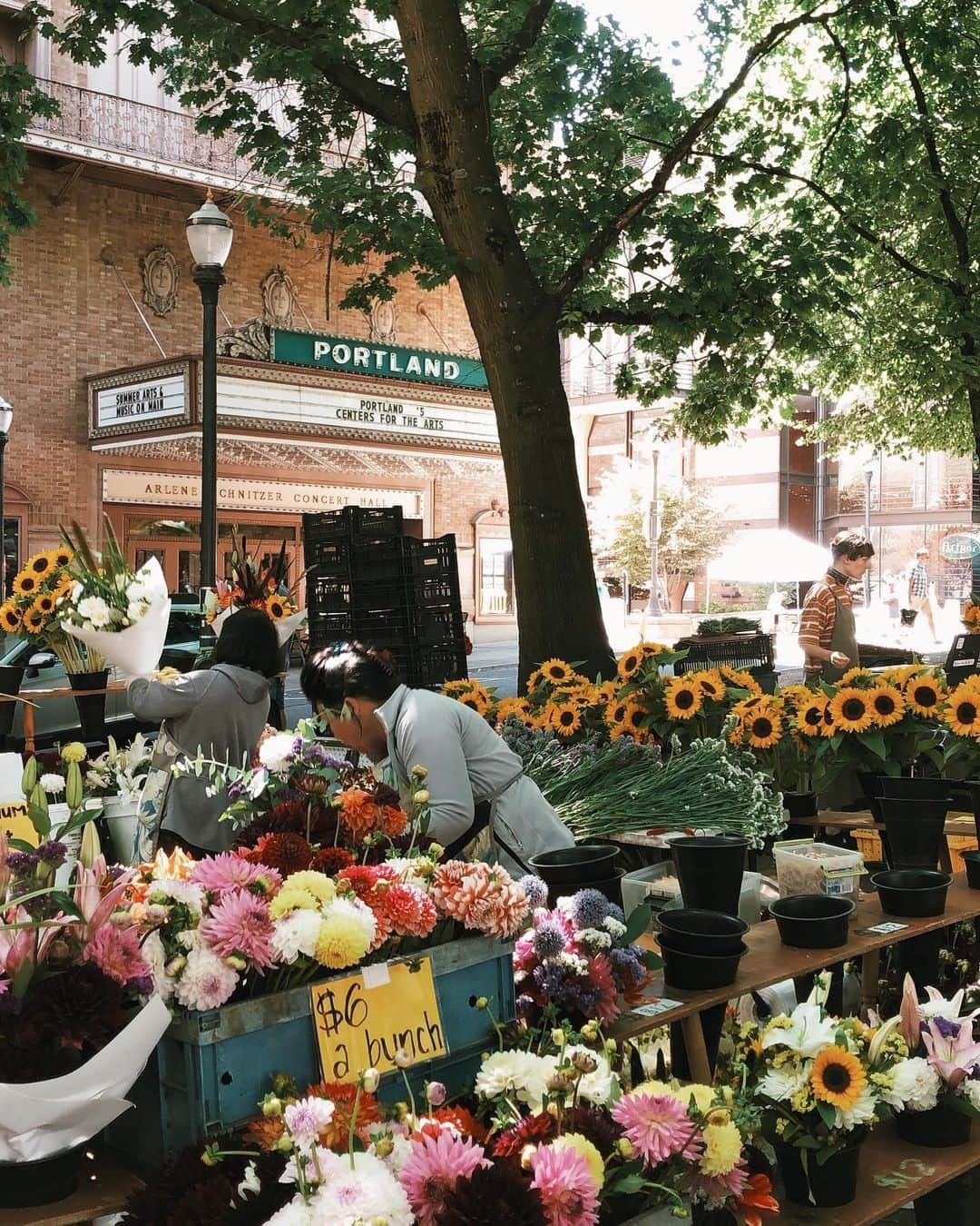 Portlandさんのインスタグラム写真 - (PortlandInstagram)「Have you been able to experience an @portlandfarmers market this season? With multiple markets happening throughout the week, from the South Waterfront to Portland State, this is on the Portland summer bucket list! - 📍: Shemanski Park Farmers Market - 📷: @bin.dropped - #Portland #YouCanInPortland #PDX #OregonNW #FarmersMarket #Summer」8月15日 13時25分 - portland