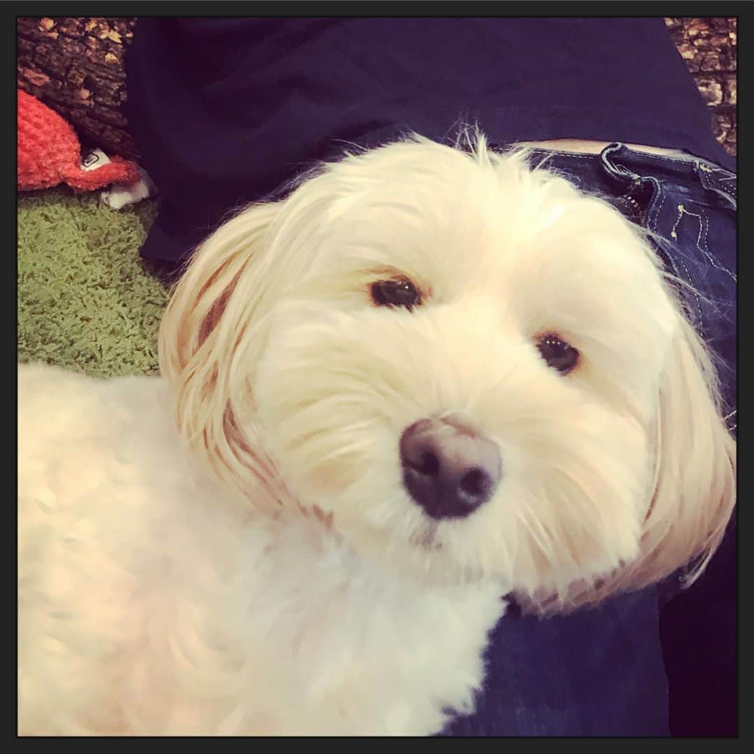 北山陽一のインスタグラム：「なにその顔w #きたやまおもち」