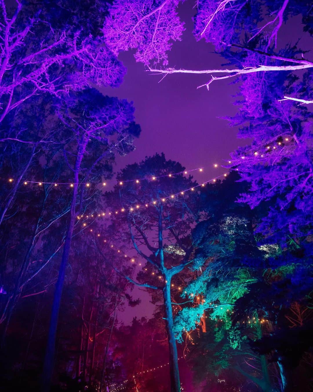 ローレン·ランドルフのインスタグラム：「@outsidelands after dark.」