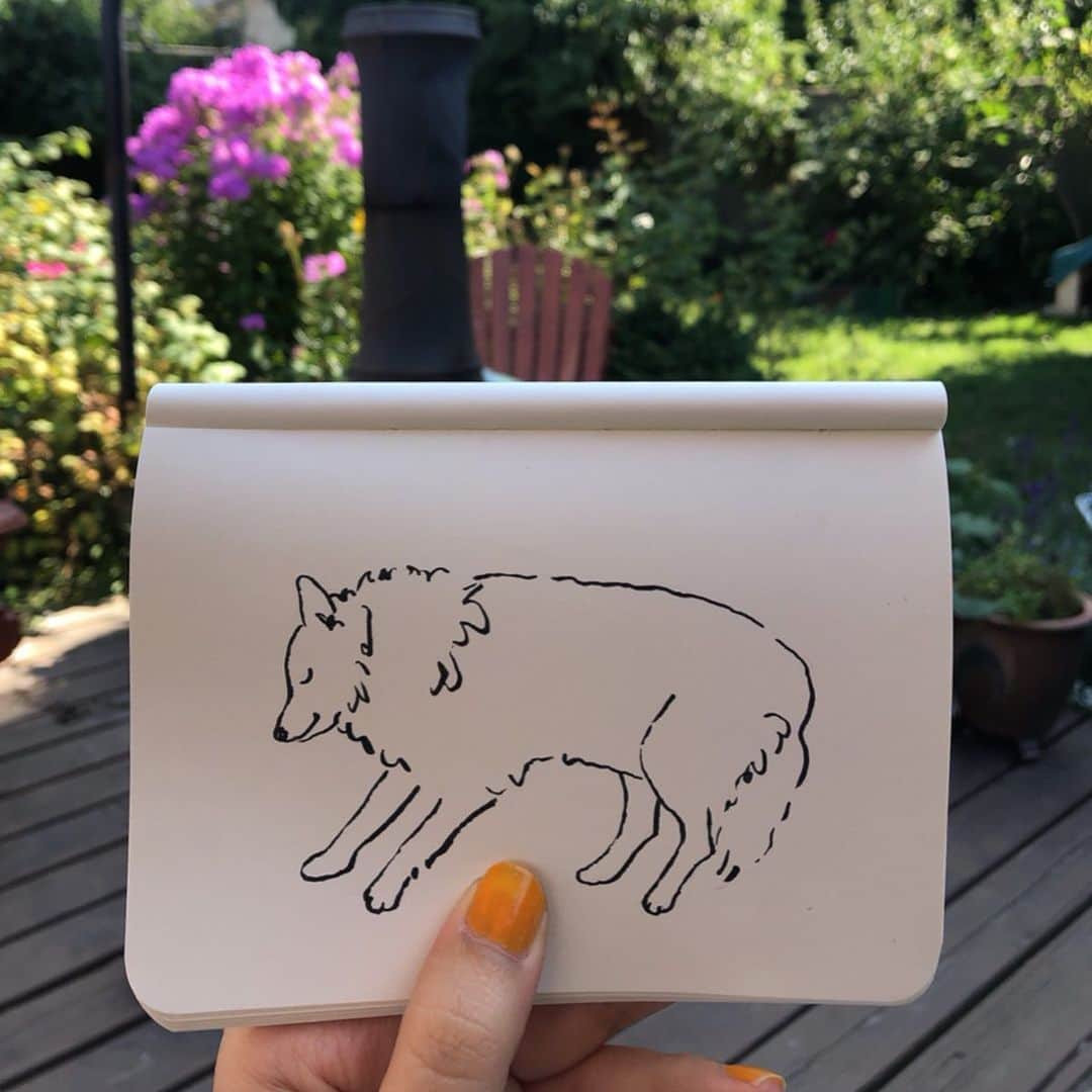 Apricots Artのインスタグラム：「Life with a dog.  今年もカナダに遊びにきています。 犬のいる生活はやはりサイコウ🥺 Illusted by Mina」