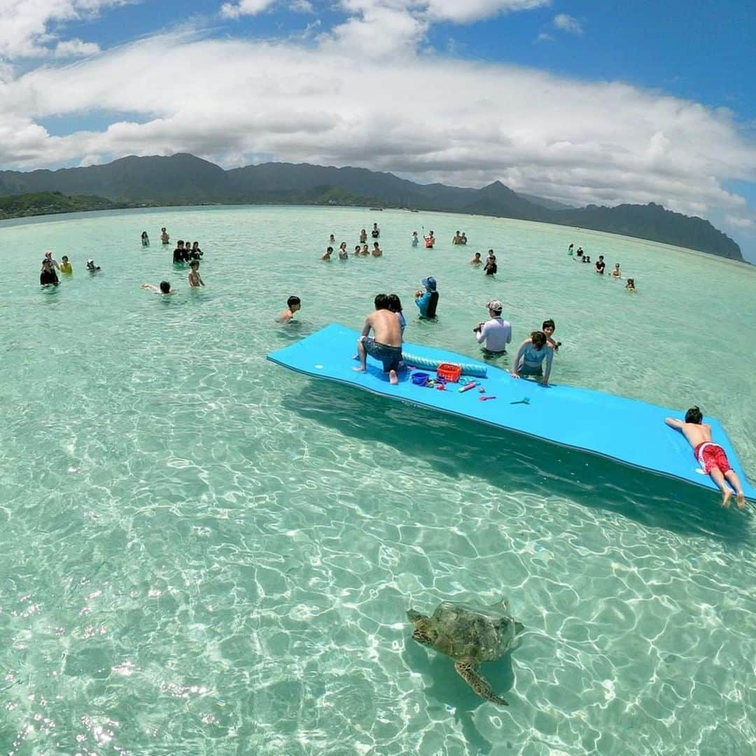 Luxury Cruise by Captain Bruceさんのインスタグラム写真 - (Luxury Cruise by Captain BruceInstagram)「気持ちよさそう～⁠ ☀️連日元気なお子様たちでツアーは賑やかです！⁠ ⁠ ⁠ ⁠ #captainbruce ⚓#sandbar #kaneohe #hawaii #oahu #oahulife #vacation #ahuolaka #キャプテンブルース #天国の海ツアー #天国の海 #アフオラカ #ハワイ大好き #夏休み #絶景 #海」8月15日 7時45分 - cptbruce_hi