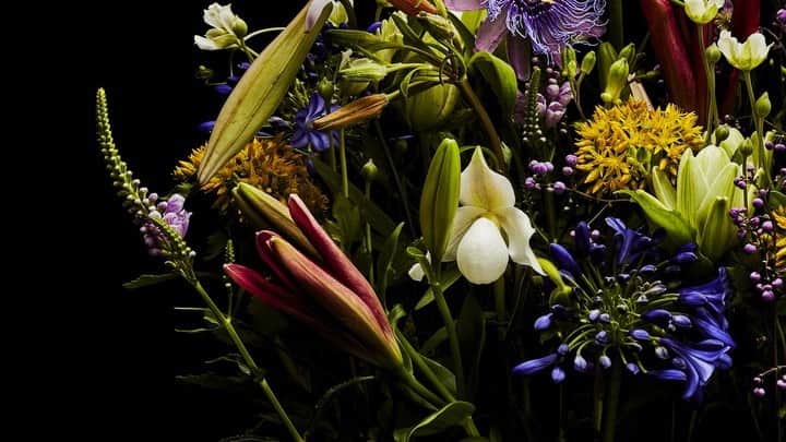 椎木俊介のインスタグラム：「Flowers  #azumamakoto #makotoazuma #shiinokishunsuke #amkk #amkkproject #flowers #flowerart #東信 #東信花樹研究所 #花  #timelapse #60秒 #60s」