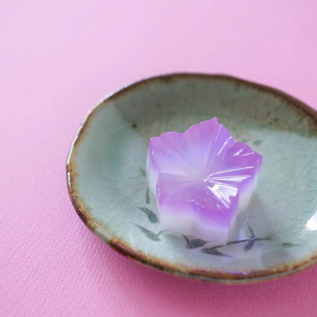 のインスタグラム：「今日の和菓子は錦玉で作った桔梗です。 撮影 用に作成しました。 台風心配です。 フェイスブックページのいいね！もよろしくお願いします。 https://www.facebook.com/shishisu/ Today's wagashi is Chinese bellflower with Agar. The sweets I've made for the shooting. #福泉堂  #和菓子  #おいしい #funny #my_eos_photo #出雲  #wp_delicious_jp #カメラ好きな人と繋がりたい  #写真好きな人と繋がりたい　 #model #handmade　 #as_archive #Japan #wagashi  #جميل #красивый #ファインダー越しの世界 #design #台風１０号 #ig_color  #일본디저트  #Mignon  #igfood #lifestylenipponpic #photooftheday #สวย #sweets #kawaii #夏」