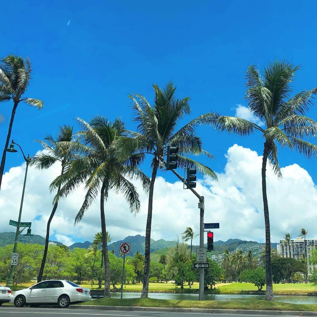 マキ・コニクソンさんのインスタグラム写真 - (マキ・コニクソンInstagram)「Good morning from  Ala Wai Canal !! 今日もお天気良いねーーっ！😎 偏西風が吹いて気持ちが良いよ！毎日こうやってハワイの景色に癒されていますー。 ハワイに感謝！感謝！だね！🙏🏻 #ハワイのおすそ分け🤙🏼」8月15日 8時35分 - makikonikson