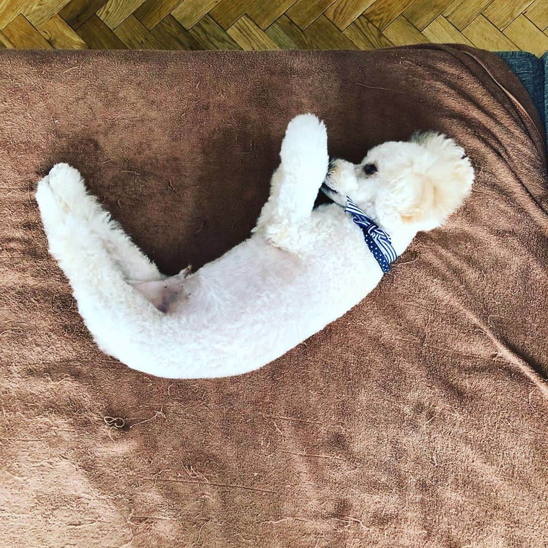 金村義明のインスタグラム