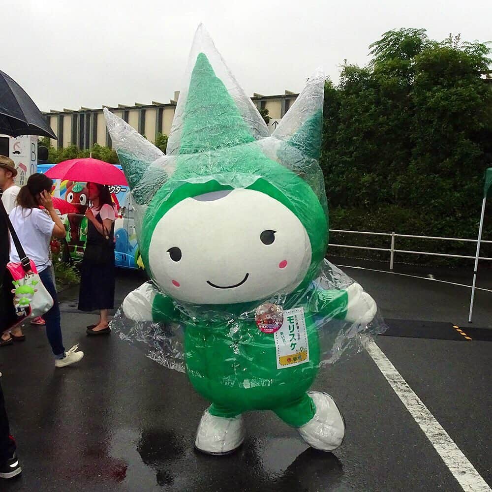 モーリーズのインスタグラム：「#台風10号 すごく心配！こんな雨ガッパ着て、はしゃいでる訳にはいかないよね。。。お天気情報しっかり確認して安全に過ごしてくださいね！！！ . #モーリーズ #moories  #ダイナム #かわいい #kawaii #cute #ゆるキャラ #ご当地キャラ #キャラクター #follow #ぬい撮り #stuffedtoy #instagood #マスコット #木の妖精 #モリスケ」