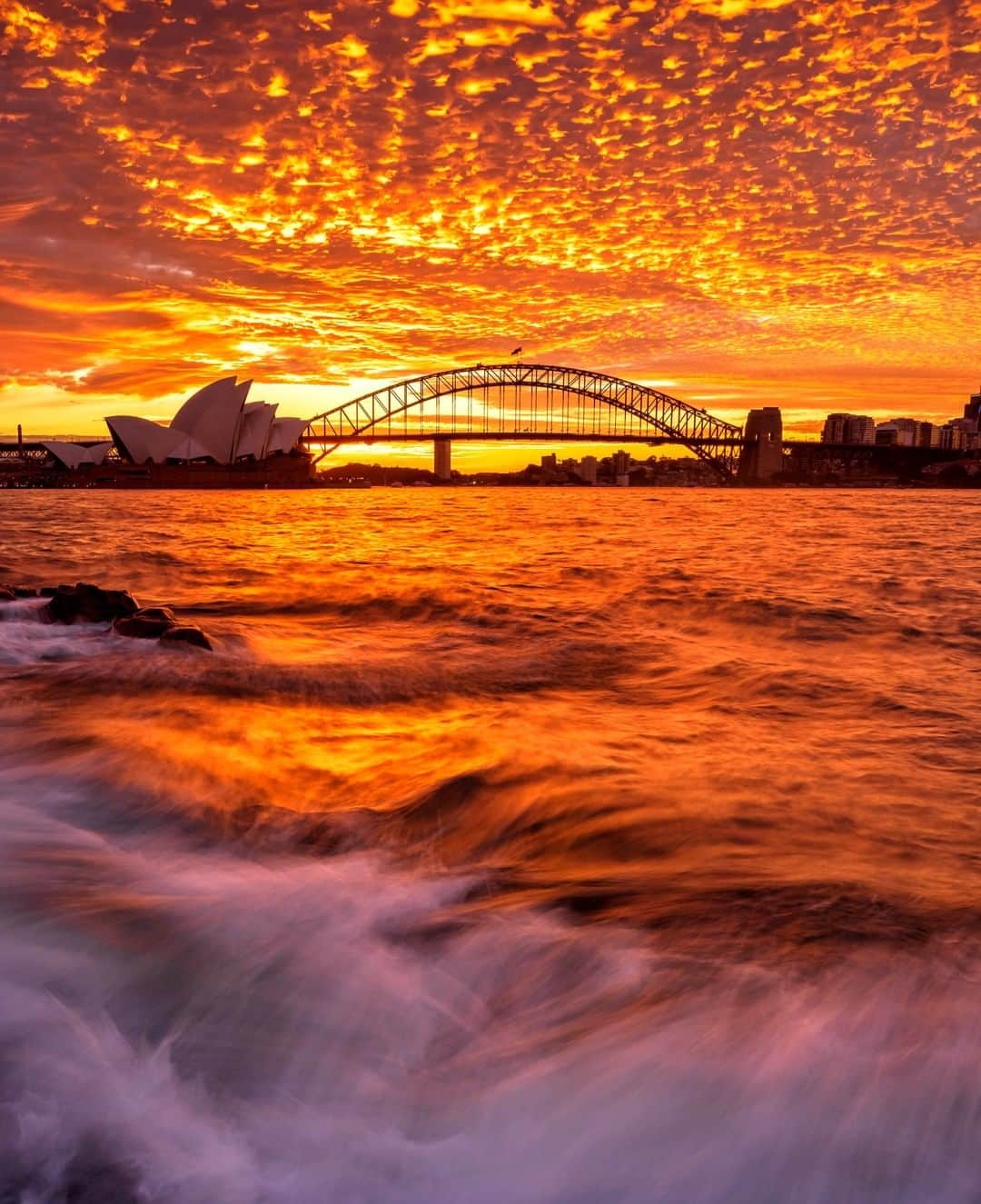 Nikon Australiaさんのインスタグラム写真 - (Nikon AustraliaInstagram)「"All afternoon the clouds were looking like a dream sunset was on the way. So I went and told my boss I had to leave work early, rushed across the bridge, luckily there wasn't any traffic, and made it to Mrs Macquaries Chair with minutes to spare. I ran to set this shot up and then it went insane, one of the best sunsets I have seen." - @chrisparryphoto  Camera: Nikon #Z7 Lens: NIKKOR Z 24-70mm f/4 S Settings: ISO 64 | 1/3s | 24mm | f/11  #Nikon #MyNikonlife #NikonAustralia #Photography #Nikkor #NikonTop #NikonPhotography #DSLR #LandscapePhotography #NikonZ7 #NikonZSeries #SunsetPhotography #DiscoverSydney #VisitSydney #SydneyUncovered」8月15日 9時30分 - nikonaustralia