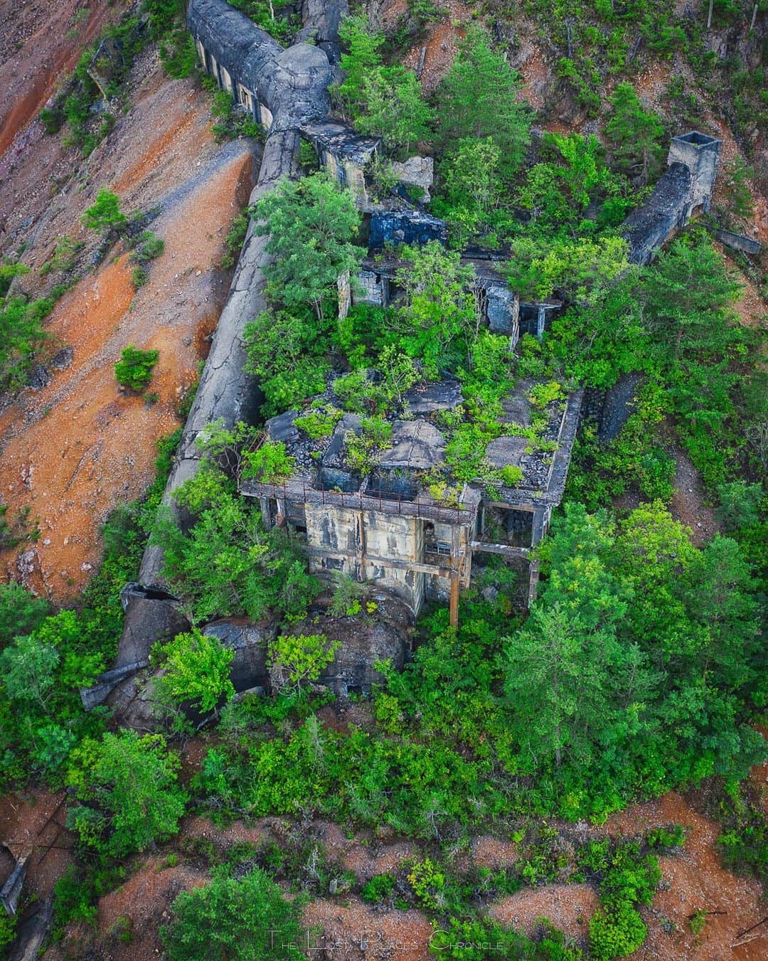 啝 （わ）のインスタグラム：「Afforesting 𓆲 𓆲 𓆲 #droneoftheday #djimavicpro #djiglobal #drone #dronephotography #dronestagram #dji #topdronephotos #fromwhereidrone #wedroneasia #droneosoar #skyhilife  #japan_urbex #JJ_URBEX #jp_gallery #kf_urbandonedmasks #KINGS_ABANDONED #m3xtures #Meistershots #moodygrams #nature_takes_over #natures_reclaim #ominous_perfection #pr0ject_uno #rsa_preciousjunk #savethedecay #sfx_decay」