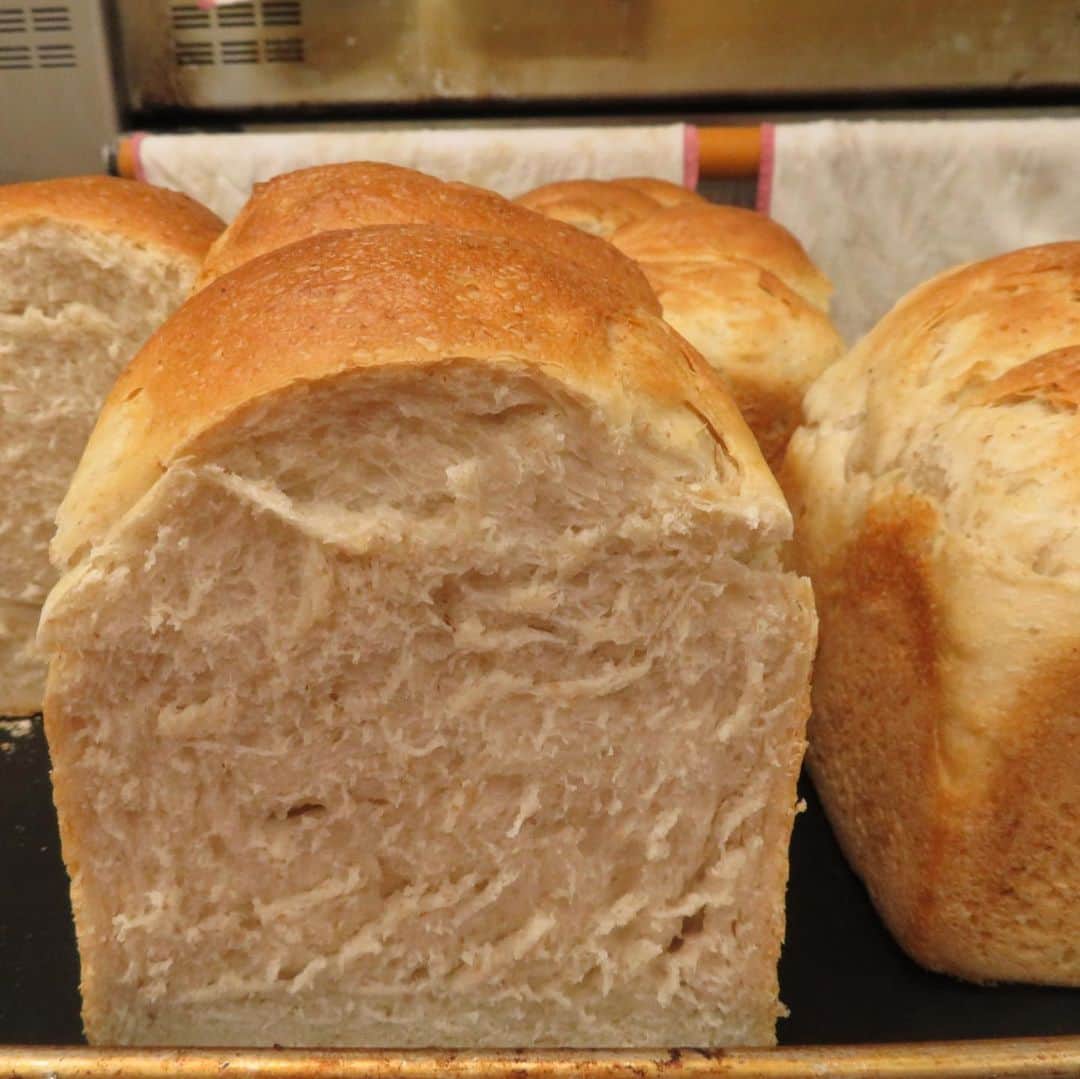 魔女菅原のグルメインスタ