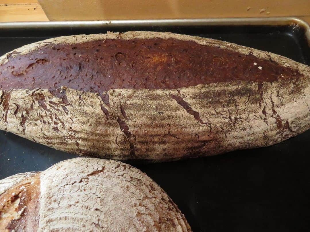 魔女菅原のグルメインスタ