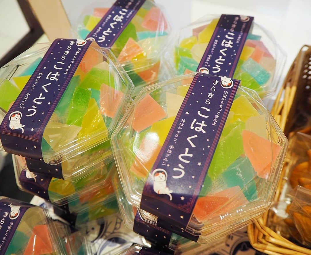 ねこのグルメインスタ