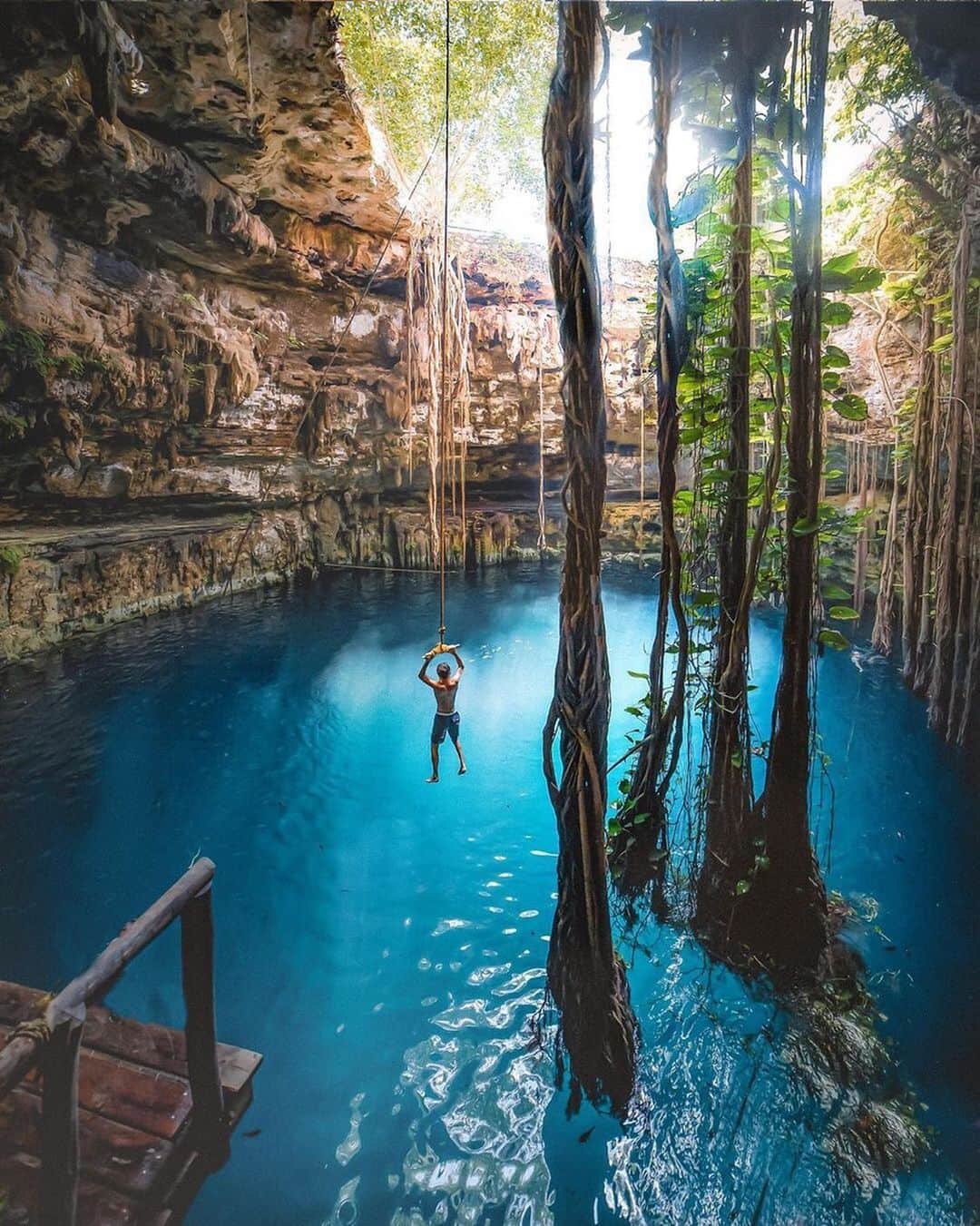 PicLab™ Sayingsさんのインスタグラム写真 - (PicLab™ SayingsInstagram)「“Of all the cenotés I explored in the Yucatán, this was definitely my favorite. It wasn’t the most photogenic, but it had a massive rope swing hanging from the roof and was filled with friendly turtles. It really let me bring out my inner Tarzan in this underground jungle. “ caption and photo by @davidmrule #Mexico 🇲🇽」8月15日 10時21分 - paradise