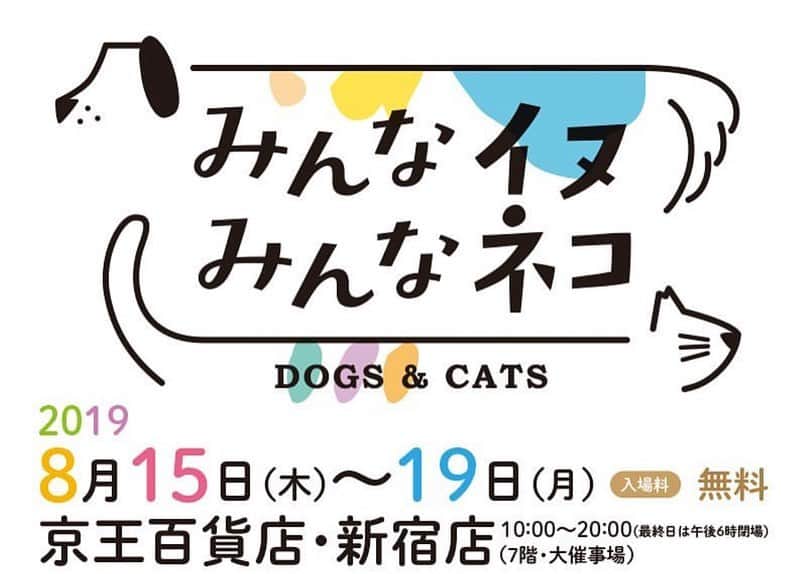 大日方久美子さんのインスタグラム写真 - (大日方久美子Instagram)「・ 連載をしている @sippo_official から「みんな犬 みんな猫」という写真集が発売されました！ ・ みんな元は野良ちゃんや保護された子達ですが、今では新しい家族ができて幸せに暮らしています。  我が家の4匹とROWや @hana_matsushima_animal さんのニャンコちゃんたちも掲載されています😊 嬉しいなぁ❤️ ・ 今日から新宿京王百貨店でも写真展がスタートし、沢山の可愛い写真が展示されます！  @miyoko_asada さんや @toru_yamaji さんのトークショーや、なんと譲渡会も開催されるので、ぜひぜひぜひ、お友達を誘って足を運んでいただけたら嬉しいです！  更に会場では @hana_matsushima_animal さんと我が家の4匹が缶バッチガチャが登場😆❤️ ・ ムー様缶バッジ、ご利益ありそうで私が買い占めてしまいそう🤣 ・ 写真集、缶バッジの売り上げの一部は動物団体に寄付されるので、沢山の方に手にしていただけたら嬉しいです😊 ・ 写真展の詳細は写真3枚目。 ストーリーにも掲載しておきます。 ・ 今日は私もガチャガチャをやりに行くので、会場で必死にガチャガチャしてたらお声かけください😂🙏🏻 ・ ・ #sippo #保護犬 #保護猫 #里親募集中」8月15日 10時19分 - kumi511976