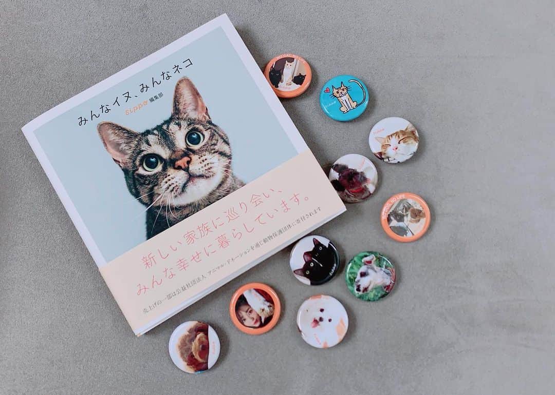 のインスタグラム：「・ 連載をしている @sippo_official から「みんな犬 みんな猫」という写真集が発売されました！ ・ みんな元は野良ちゃんや保護された子達ですが、今では新しい家族ができて幸せに暮らしています。  我が家の4匹とROWや @hana_matsushima_animal さんのニャンコちゃんたちも掲載されています😊 嬉しいなぁ❤️ ・ 今日から新宿京王百貨店でも写真展がスタートし、沢山の可愛い写真が展示されます！  @miyoko_asada さんや @toru_yamaji さんのトークショーや、なんと譲渡会も開催されるので、ぜひぜひぜひ、お友達を誘って足を運んでいただけたら嬉しいです！  更に会場では @hana_matsushima_animal さんと我が家の4匹が缶バッチガチャが登場😆❤️ ・ ムー様缶バッジ、ご利益ありそうで私が買い占めてしまいそう🤣 ・ 写真集、缶バッジの売り上げの一部は動物団体に寄付されるので、沢山の方に手にしていただけたら嬉しいです😊 ・ 写真展の詳細は写真3枚目。 ストーリーにも掲載しておきます。 ・ 今日は私もガチャガチャをやりに行くので、会場で必死にガチャガチャしてたらお声かけください😂🙏🏻 ・ ・ #sippo #保護犬 #保護猫 #里親募集中」