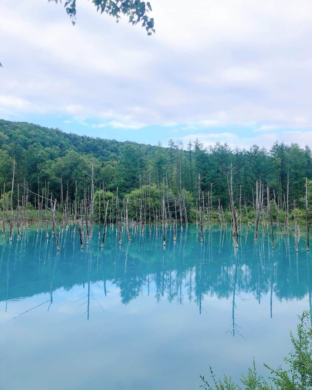 YU-RIのインスタグラム：「青い池と青い滝(白髭の滝)🎣 念願の🥰綺麗だった🌟 ・ ・ ・ #青い池#美瑛#札幌#富良野#北海道#旅行#北海道旅行#北海道観光#vacation#trip#beautifulworld#japan#beautifuljapan」