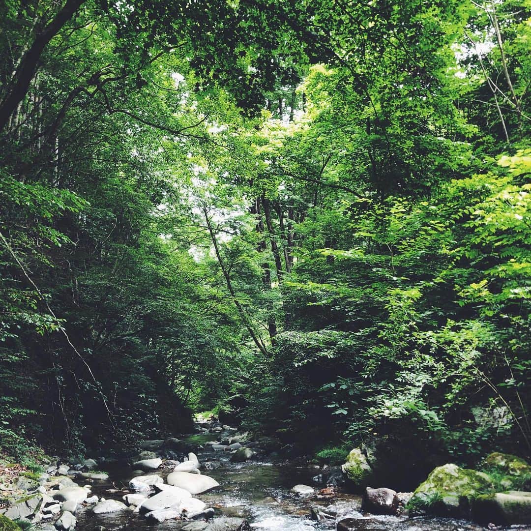 尾形沙耶香さんのインスタグラム写真 - (尾形沙耶香Instagram)「#summer 👒  #nature 💚  石や水流れに、興味津々ジョージ。 もっともっと一緒に自然を楽しみたい🌿」8月15日 11時21分 - sayakaogata