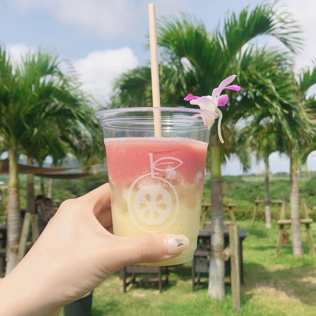 安中亜美のグルメインスタ