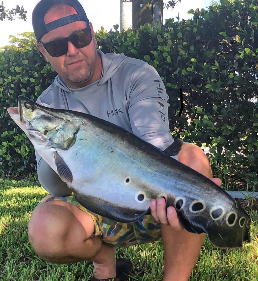 Electric_Fishingさんのインスタグラム写真 - (Electric_FishingInstagram)「@losingfishdaily clowning around in South Florida rocking his Knoxville XLS. ⁣ ⁣ #ElectricSunglasses⁣ #PolarizedSunglasses⁣ #StyleThatPerforms⁣ #ElectricFishing」8月15日 23時00分 - electric_fishing