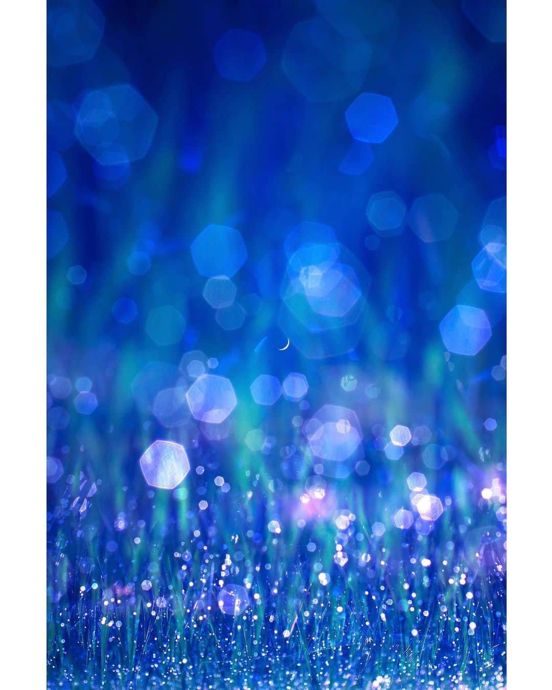 メグのん♡ A k i k oのインスタグラム：「♡ Night dew and newborn moon To Daddy and Grandparents in Heaven . . 台風10号の影響で 各地でお盆のいろいろなイベントが 中止になってるようですね。。 . 私も台風のせいではないけれど、 まだお墓参りに行けていません・・・ . 天国の父や祖父母に ごめんね、ちょっと待ってて ・・・という気持ちを込めて、 この作品を・・・ . きらきらの露も生まれたての細い月も こないだ撮ったばかりの近所の光景 . . 私は元気です ありがとう . . ♡」