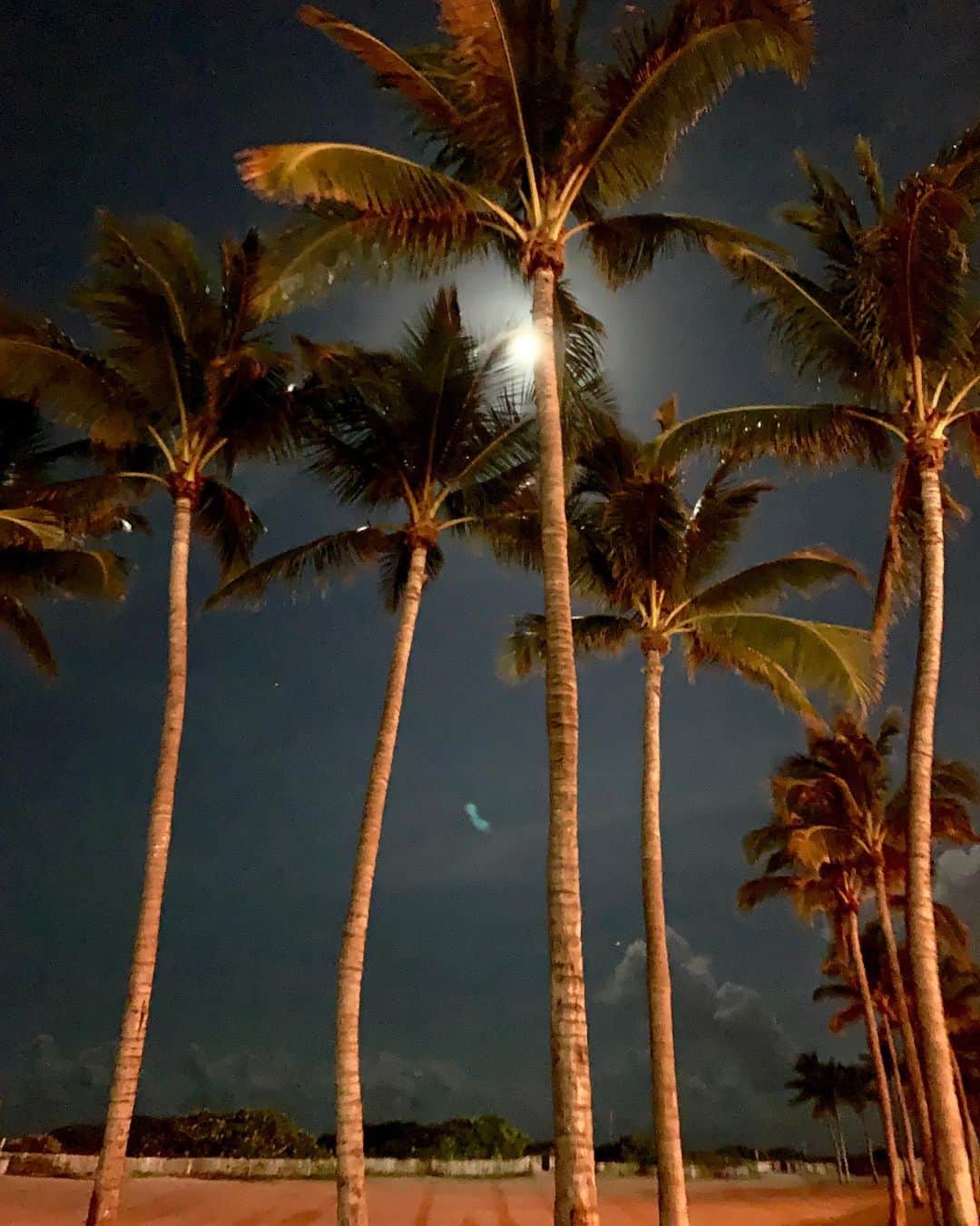 クラウディア・ジョーダンさんのインスタグラム写真 - (クラウディア・ジョーダンInstagram)「This sky tho...midnight in Miami ❤️」8月15日 21時44分 - claudiajordan