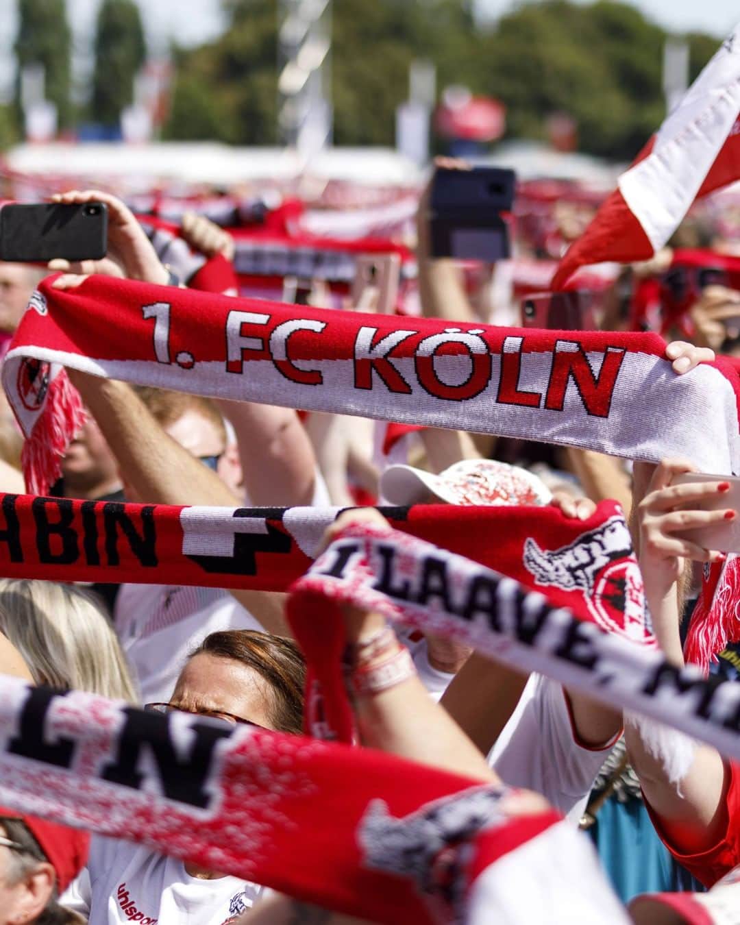 1.FCケルンさんのインスタグラム写真 - (1.FCケルンInstagram)「Endlich wieder #Bundesliga 🙌 Rund 3.000 Fans begleiten den #effzeh zum Auswärtsspiel nach Wolfsburg. Das Auswärtskontingent ist voll ausgeschöpft. Danke, FC-Fans! 🔴⚪ #Köln #Kölle #Bundesliga #WOBKOE」8月15日 22時00分 - fckoeln