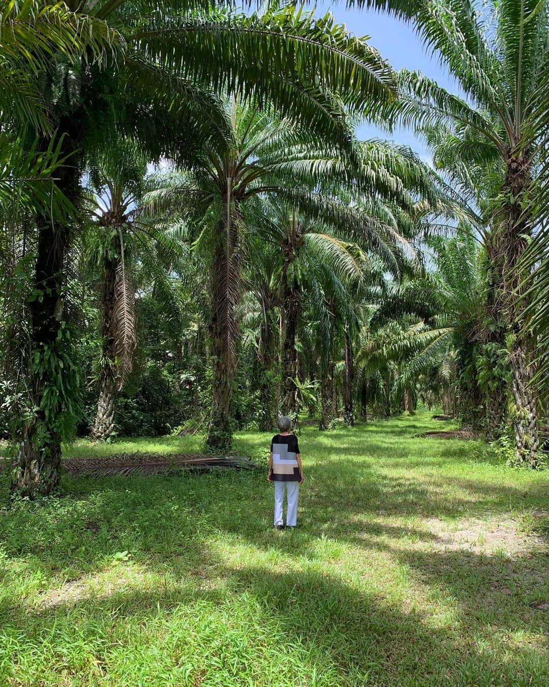 ポーイ・タリーチャダー ペッチャラットさんのインスタグラム写真 - (ポーイ・タリーチャダー ペッチャラットInstagram)「🌴🌴🌴」8月15日 22時09分 - poydtreechada