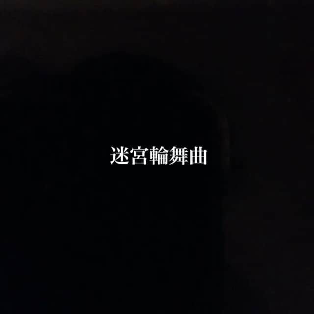 鈴木蘭々のインスタグラム
