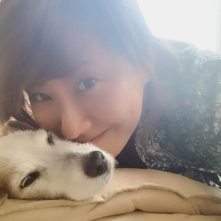 風間ゆみえのインスタグラム：「もふもふもふもふ  #mairotkhm でマイロのダイアリー見直すと、マイロもずいぶんおじいちゃんだな。 こんなにbaby faceなのに、比べると若い‼︎ 笑 私も同じか…😂」