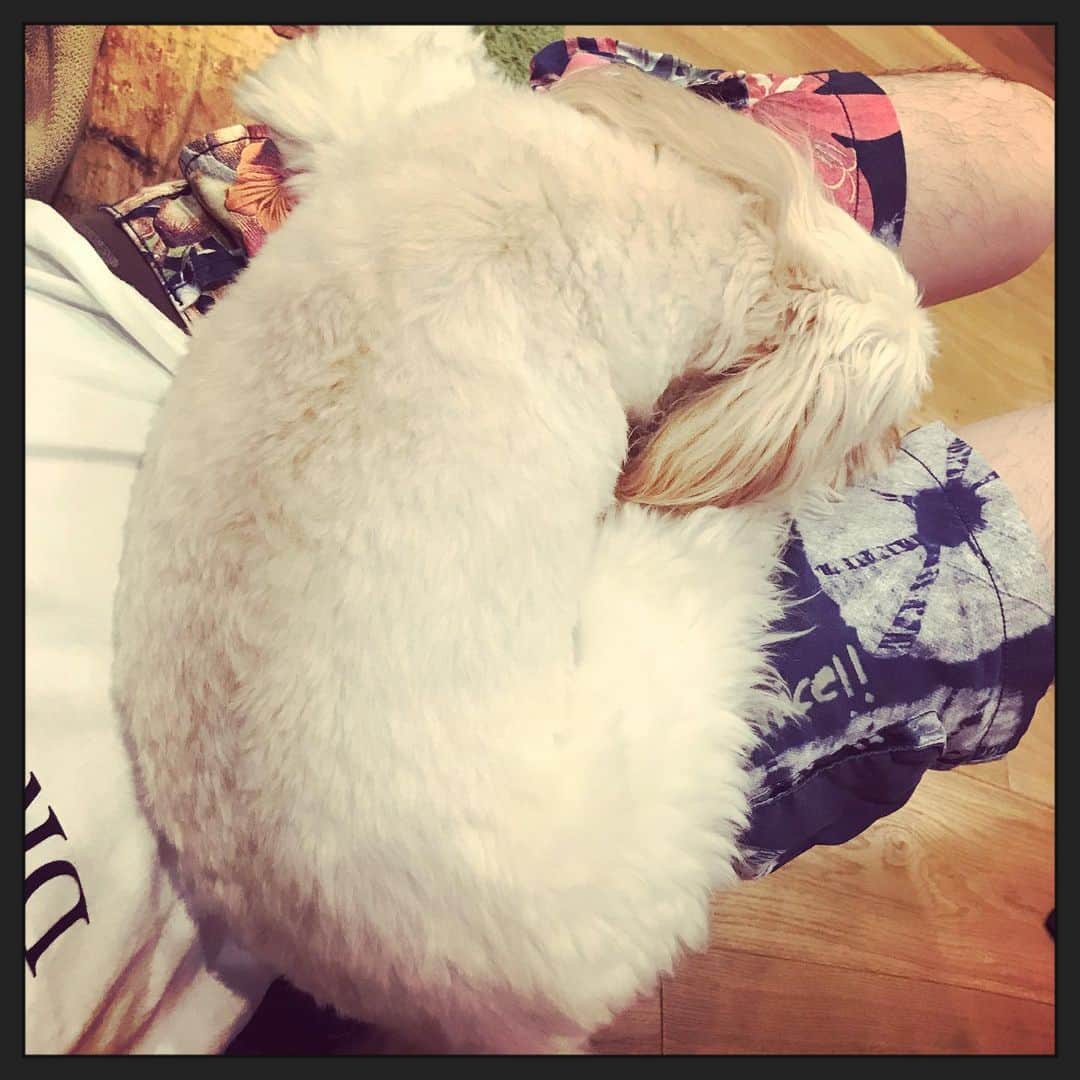 北山陽一のインスタグラム：「帰ってくるとこう #きたやまおもち」
