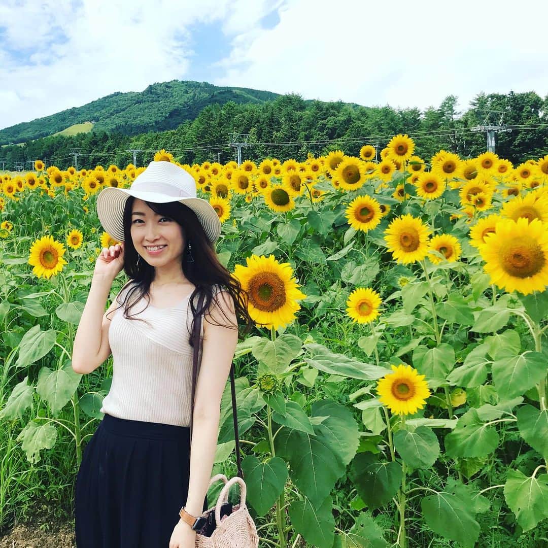 のインスタグラム：「アルコピアひまわり園🌻 最終日に行ってきた😉💛 #アルコピア #ひまわり #久々野」