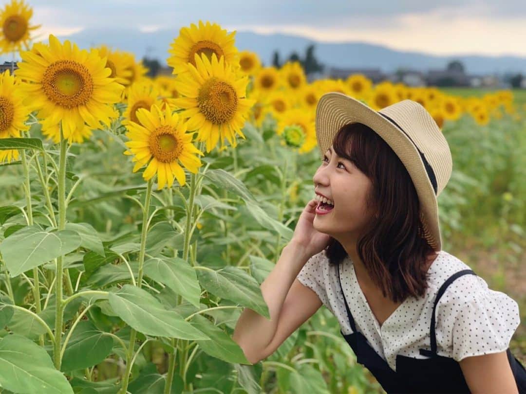 尾島早都樹のインスタグラム：「県内のとあるひまわり畑に 遊びに行きました🌻 . ここはなーんと！ ひまわりが20万本も咲いているそうで！ . 上から眺めるとまさに黄色い絨毯！ (最後の動画はGoProで撮影してみました) . ひまわりは 花の形も色も名前も大好きなお花ー！ 眺めているだけで元気もらえました❣️ . せっかくなので麦わら帽子で 私も夏っぽさを表現してみました👩🏼‍🌾👒笑 . . #ひまわり #向日葵 #ひまわり畑 #富山 #夏 #チューリップテレビ #アナウンサー」