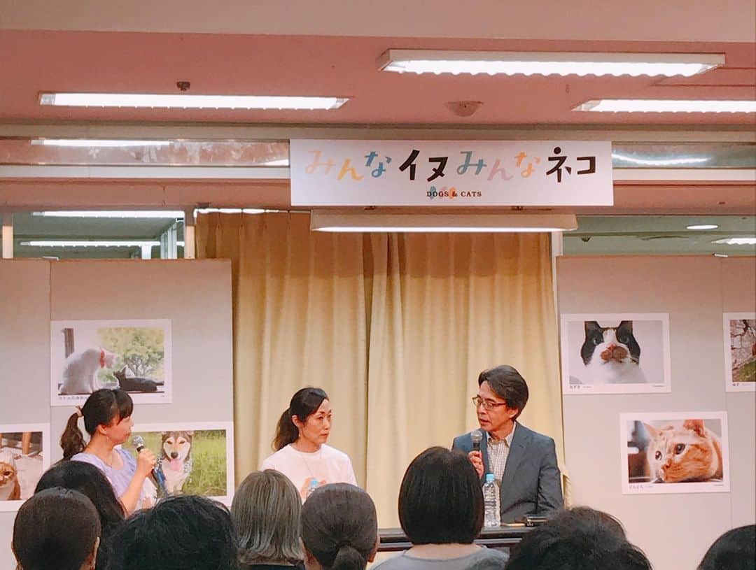 磯山さやかさんのインスタグラム写真 - (磯山さやかInstagram)「今日は、 新宿の京王百貨店で開催されているチャリティーイベント 『みんなイヌ みんなネコ  sippo 写真展』に行ってきました！  保護ネコ保護イヌを、家族に迎えた方々のコメントと共に可愛い写真が見られる写真展や、グッズ販売、トークショーなど盛りだくさんイベント。 売り上げの一部は、動物愛護団体さんに寄付されます。 そして、時間限定ですが、譲渡会もあるので、家族に迎えたいなと思ってる方、ぜひ会いに行っていただきたいです！  今回、先日、香川県の犬猫殺処分ゼロを目指す動画に、参加させていただいた時にお世話になった、おーあみ避難所の大網さんが山路徹さんとトークショーをするというので、ご挨拶もしたくて参加させていただきました！  なんと！そこで、保護活動に力を入れている素晴らしい方々と会う事ができて、本当に感激です！ 山路徹さん大網さんはじめ、 黒田知永子さん、 松島花さん、大日方久美子さん♡ 松島花さんのインスタを知り、私もこうして発信するようになりました。大日方さんのインスタを見て、預かりボランティアを知りました。 もう師匠みたいな方々に会えて、本当に参加してよかったと思いました！  何かしてあげたいけど、どうすればいいのか。 飼いたいけど、どうなんだろうか？ ただただイヌネコが好き。など思ってる方！ ぜひ、京王百貨店7階へ！！ 今後、浅田美代子さんのトークショーもあったりなので、詳しくは （ @sippo_official ）さんのHPまで！  #みんなイヌみんなネコ  #京王百貨店 #保護犬 #保護猫」8月15日 22時43分 - sayakaisoyama