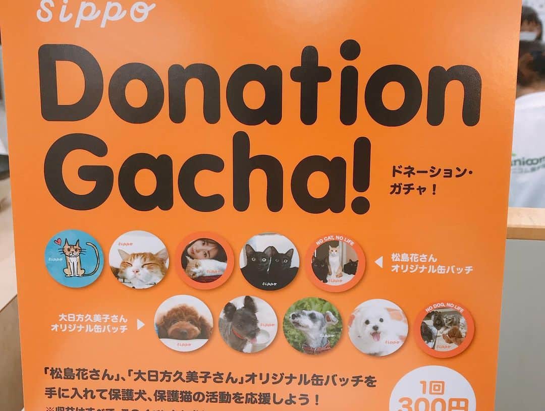 磯山さやかさんのインスタグラム写真 - (磯山さやかInstagram)「今日は、 新宿の京王百貨店で開催されているチャリティーイベント 『みんなイヌ みんなネコ  sippo 写真展』に行ってきました！  保護ネコ保護イヌを、家族に迎えた方々のコメントと共に可愛い写真が見られる写真展や、グッズ販売、トークショーなど盛りだくさんイベント。 売り上げの一部は、動物愛護団体さんに寄付されます。 そして、時間限定ですが、譲渡会もあるので、家族に迎えたいなと思ってる方、ぜひ会いに行っていただきたいです！  今回、先日、香川県の犬猫殺処分ゼロを目指す動画に、参加させていただいた時にお世話になった、おーあみ避難所の大網さんが山路徹さんとトークショーをするというので、ご挨拶もしたくて参加させていただきました！  なんと！そこで、保護活動に力を入れている素晴らしい方々と会う事ができて、本当に感激です！ 山路徹さん大網さんはじめ、 黒田知永子さん、 松島花さん、大日方久美子さん♡ 松島花さんのインスタを知り、私もこうして発信するようになりました。大日方さんのインスタを見て、預かりボランティアを知りました。 もう師匠みたいな方々に会えて、本当に参加してよかったと思いました！  何かしてあげたいけど、どうすればいいのか。 飼いたいけど、どうなんだろうか？ ただただイヌネコが好き。など思ってる方！ ぜひ、京王百貨店7階へ！！ 今後、浅田美代子さんのトークショーもあったりなので、詳しくは （ @sippo_official ）さんのHPまで！  #みんなイヌみんなネコ  #京王百貨店 #保護犬 #保護猫」8月15日 22時43分 - sayakaisoyama