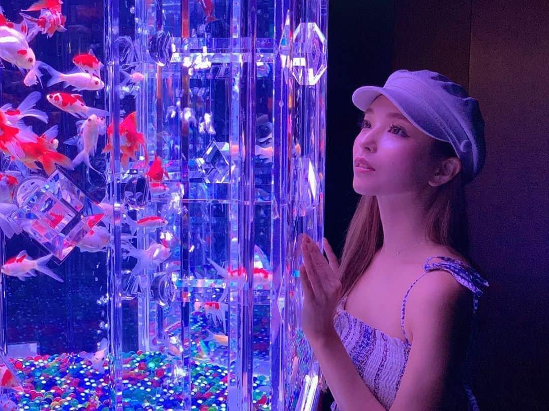 Hitomiさんのインスタグラム写真 - (HitomiInstagram)「❤︎ アートアクアリウム 幻想的で綺麗すぎた...🐟 . #アートアクアリウム #アートアクアリウム展 #ポートレート #ポートレート撮影  #iPhone #iPhoneで撮影」8月15日 14時45分 - hitomi_01270