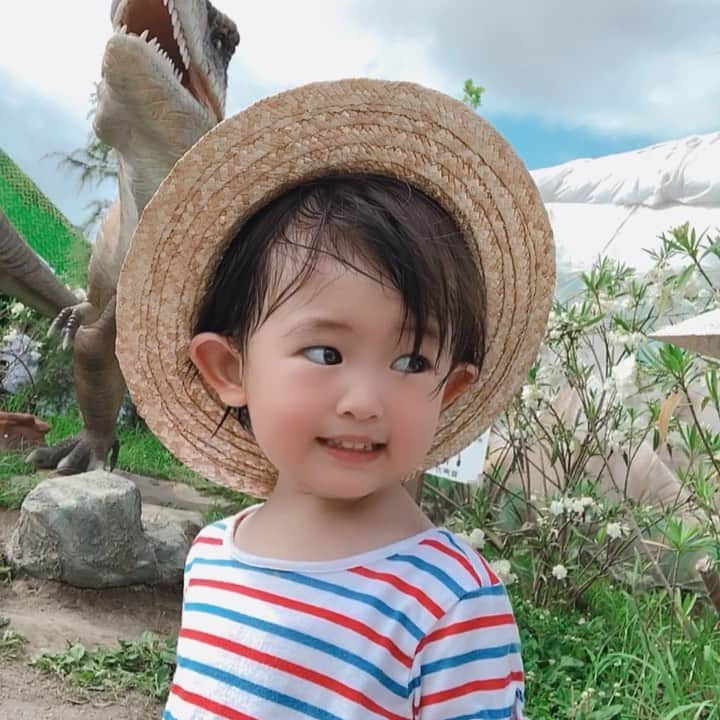 のインスタグラム：「🦖🦖🦖🦖🦖🦖」