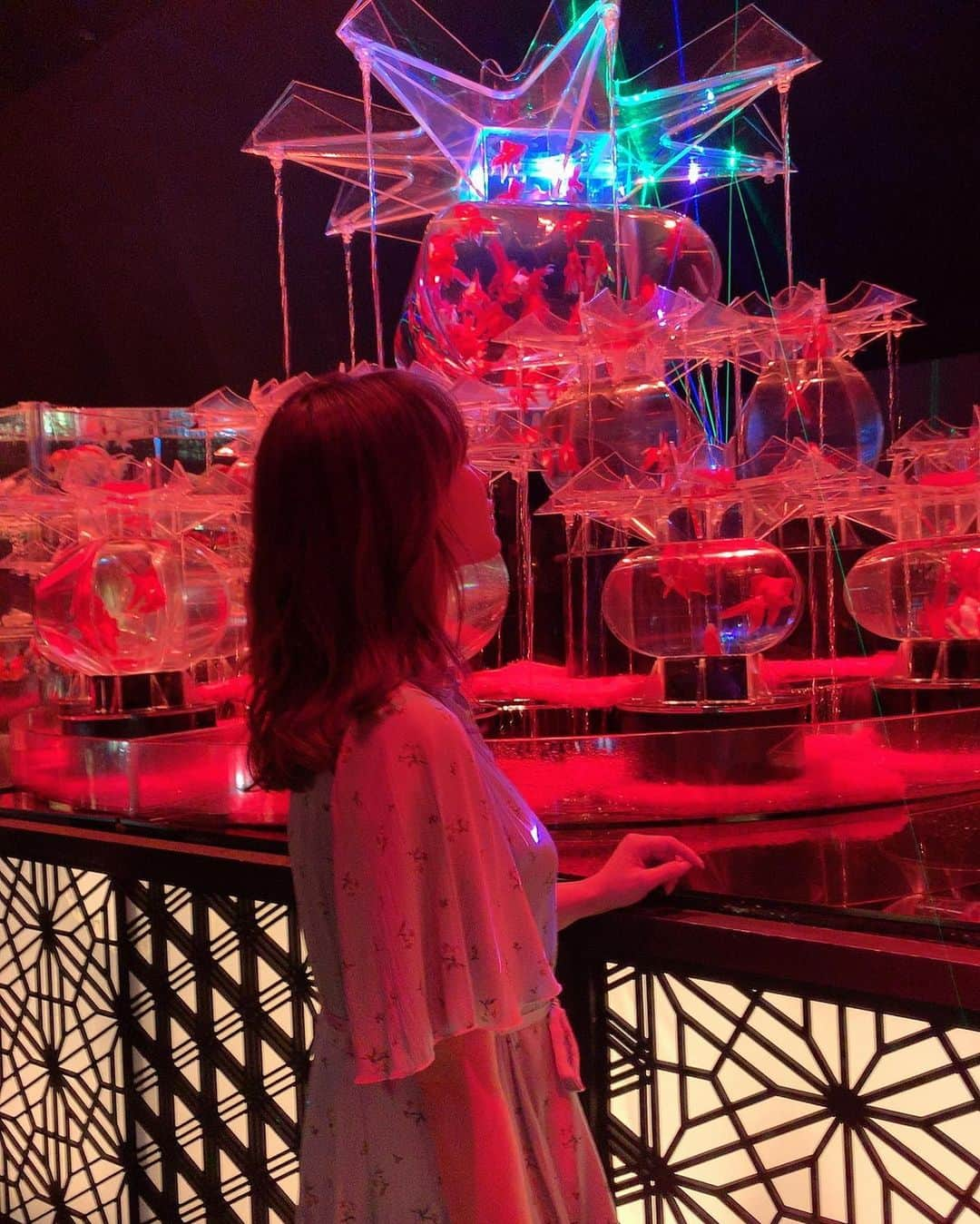 野崎萌香さんのインスタグラム写真 - (野崎萌香Instagram)「NIGHT AQUARIUM 🌝🌹🌃🏮 #アートアクアリウム」8月15日 15時31分 - moeka_nozaki