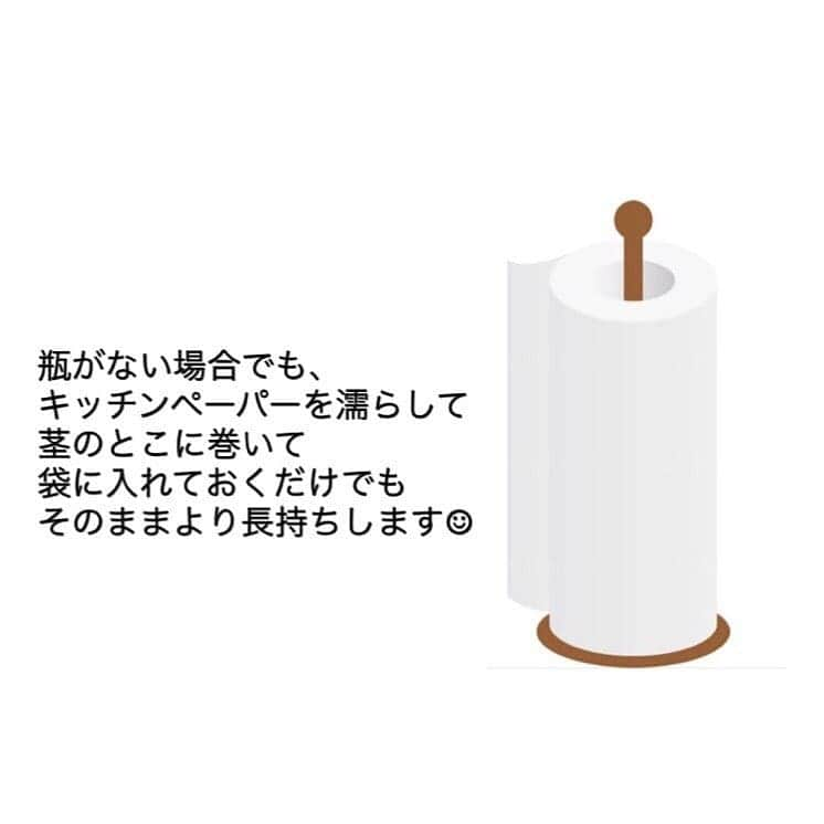 ママリさんのインスタグラム写真 - (ママリInstagram)「難しそうな飾り切りだけど意外と簡単…🍴？！ #ママリ⠀⁠ わかりやすく紹介～！⁠ .⠀⠀⁠ ＝＝＝⠀⠀⁠ .⁠ 大葉好きな我が家がやっている⁠ 大葉の保存方法☺︎⁠ ⁠ .⁠ 簡単過ぎますが、⁠ そのままより断然長持ちします！⁠ 10日くらいは元気なままです☺︎⁠ ⁠ ⁠ .⁠ 瓶がなくても、濡らしたキッチンペーパーでも🙆‍♀️⁠ ⁠ 瓶じゃなくても水が張れれば何でもOK🙆‍♀️⁠ .⁠ お水は毎日入れ替え。⁠ キッチンペーパーも毎日替える。⁠ .⁠ ⁠ 野菜って水分が大事なんですね☺︎⁠ キャベツとかも芯のとこに入れておくと長持ちしますね😆⁠ .⁠ ＝＝＝⠀⁠ .⠀⁠ @__ryo730__  さん、素敵な投稿ありがとうございました✨⁠ .⠀⠀⁠ .⠀⠀⁠ ⌒⌒⌒⌒⌒⌒⌒⌒⌒⌒⌒⌒⌒⌒⌒⌒*⁣⠀⁠ みんなのおすすめアイテム教えて ​⠀⁠ #ママリ口コミ大賞 ​⁣⠀⁠ ⠀⁠ ⁣新米ママの毎日は初めてのことだらけ！⁣⁣⠀⁠ その1つが、買い物。 ⁣⁣⠀⁠ ⁣⁣⠀⁠ 「家族のために後悔しない選択をしたい…」 ⁣⁣⠀⁠ ⁣⁣⠀⁠ そんなママさんのために、⁣⁣⠀⁠ ＼子育てで役立った！／ ⁣⁣⠀⁠ ⁣⁣⠀⁠ あなたのおすすめグッズ教えてください ​ ​ ⁣⁣⠀⁠ ⠀⁠ ■抽選で人気アイテムをプレゼント！⁣⠀⁠ #ママリ口コミ大賞 をつけて投稿してくださった方の中より、⠀⁠ 毎月インスタグラムのライブ配信で使用するアイテムをプレゼント♪⠀⁠ ⁣⠀⁠ ⠀⁠ 【応募方法】⠀⁠ #ママリ口コミ大賞 をつけて、⠀⁠ アイテム・サービスの口コミを投稿！⠀⁠ ⁣⁣⠀⁠ (例)⠀⁠ 「このママバッグは神だった」⁣⁣⠀⁠ 「これで寝かしつけ助かった！」⠀⁠ ⠀⁠ あなたのおすすめ、お待ちしてます ​⠀⁠ ⁣⠀⠀⁠ * ⌒⌒⌒⌒⌒⌒⌒⌒⌒⌒⌒⌒⌒⌒⌒⌒*⁣⠀⠀⠀⁣⠀⠀⁠ ⁣🍒先輩ママに聞きたいことありませんか？🍒⠀⠀⠀⠀⁣⠀⠀⁠ .⠀⠀⠀⠀⠀⠀⁣⠀⠀⁠ 「悪阻っていつまでつづくの？」⠀⠀⠀⠀⠀⠀⠀⁣⠀⠀⁠ 「妊娠から出産までにかかる費用は？」⠀⠀⠀⠀⠀⠀⠀⁣⠀⠀⁠ 「陣痛・出産エピソードを教えてほしい！」⠀⠀⠀⠀⠀⠀⠀⁣⠀⠀⁠ .⠀⠀⠀⠀⠀⠀⁣⠀⠀⁠ あなたの回答が、誰かの支えになる。⠀⠀⠀⠀⠀⠀⠀⁣⠀⠀⁠ .⠀⠀⠀⠀⠀⠀⁣⠀⠀⁠ 女性限定匿名Q&Aアプリ「ママリ」は @mamari_official のURLからDL❤⠀⠀⁠ .⠀⠀⠀⠀⠀⠀⠀⠀⠀⠀⠀⠀⠀⠀⠀⠀⠀⠀⠀⠀⠀⠀⠀⠀⁣⠀⠀⁠ .⁣⠀⠀⁠ ⁠ #0歳#1歳⁣ #2歳 ⁣#3歳 #お弁当 #ママご飯 #子供ご飯 #おべんたぐらむ #ばんごはん #幸せの食卓部 #豊かな食卓 #子供ごはん⁠ #家事 #お昼ご飯 #お昼 #おうちご飯 #朝ごはん#つくりおき#つくりおきおかず#作り置き#作り置きおかず#作り置きレシピ#大葉#時短レシピ#時短#つくおき⁠」8月15日 15時57分 - mamari_official