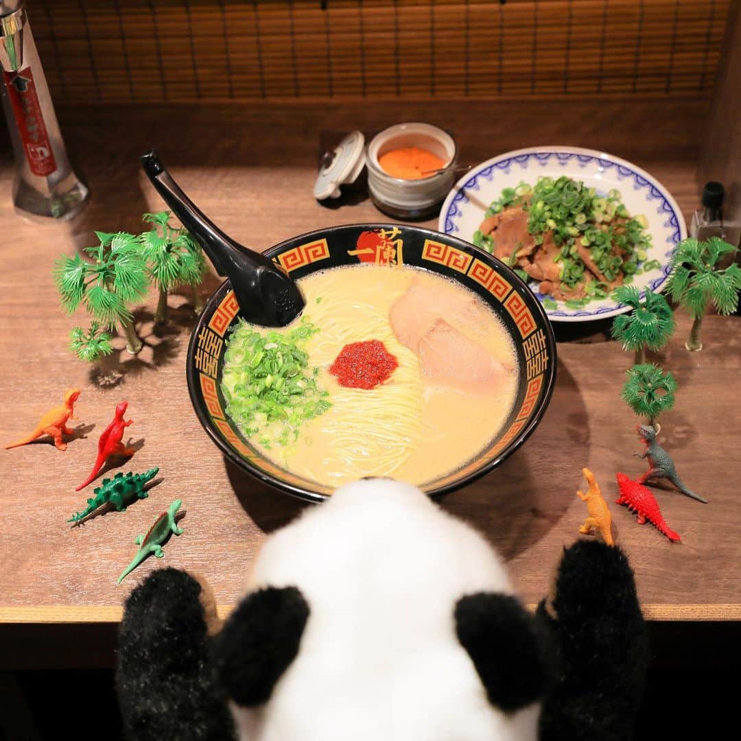 アトレ上野（atre ueno）さんのインスタグラム写真 - (アトレ上野（atre ueno）Instagram)「"【狩るか⁉狩られるか⁉恐竜2019‼肉食VS草食】が開催中♪ 一蘭の「天然とんこつラーメン」と「煮込み焼豚皿」を食べにきたよ ぼくの大好きな定番のとんこつラーメンに、今日は追加で焼豚をオーダー😍 味がしっかり染み込んでる上質なロースはラーメンのお供にぴったりだよ🎵 肉食派にたまらない組み合わせだね🐼💞" ・ “Hunter or Hunted?! Carnivores VS Herbivores”The Dinosaur Expo 2019 ♪ Here I am at Ichiran to for its “Classic Tonkotsu Ramen” and “Simmered Roast Pork!” Today, I ordered roast pork on top of my usual favourite, Tonkotsu Ramen😍 The dish makes a perfect complement to the ramen with its flavourful, high-quality pork loin 🎵 A match made in heaven that Team Meat cannot resist 🐼💞" ・ "恐龍博物館2019“獵獸、獵物?! 肉食VS草食?!”♪. 我來到了一蘭拉麵享用“天然豬骨湯拉麵”和“燉煮叉燒肉”！ 今天除了點我最愛的豬骨湯拉麵，我也添加了烤豬肉 😍 拉麵配上美味又優質的豬里脊肉真是天衣無縫 🎵 這絕對是肉食派會叫好的絕配 🐼💞" ・ ・ ・ ・ #上野 #アトレ上野 #アトレ #atre #atreueno #パンダ #上野パンダ #上野散策 #熊猫 #東京觀光 #PANDA #🐼 #ueno #tokyotour #ぬい撮り #上野観光 #ワッショイ上野2019 #恐竜博2019 #一蘭 #ラーメン #とんこつラーメン #焼豚 #ラーメン女子 #麺スタグラム #麺活 #japanesenoodle  #グルメ女子 #グルメ部 #上野ランチ #ぬい撮り写真部」8月15日 16時26分 - atre.ueno