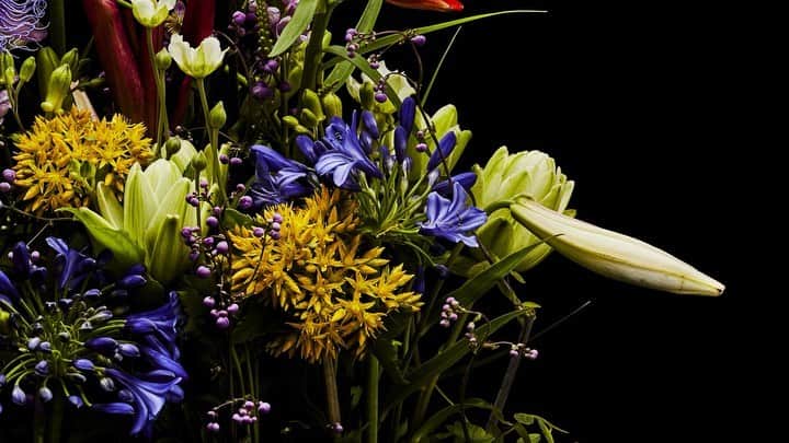 椎木俊介のインスタグラム：「Flowers  #azumamakoto #makotoazuma #shiinokishunsuke #amkk #amkkproject #flowers #flowerart #東信 #東信花樹研究所 #花  #timelapse #60秒 #60s」