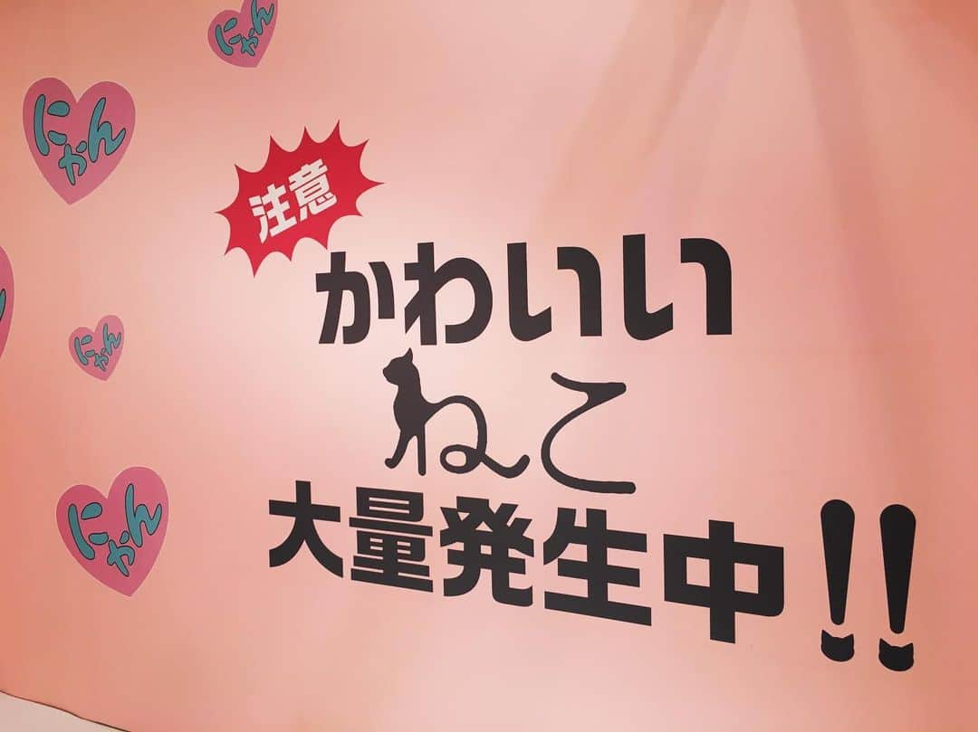 ローチケ（ローソンチケット）さんのインスタグラム写真 - (ローチケ（ローソンチケット）Instagram)「本日 #東京展 が開幕🎉 #ねこがかわいいだけ展 （@nekogakawaiidake）#渋谷ヒカリエ  東京・渋谷ヒカリエで猫好きによる🐈猫好きのため🐱の究極の“にやにや空間”イベント「ねこがかわいいだけ展」が行われています🐾  かわいい猫たちの写真展示📷ほかグッズ販売や、全国から集まった“たまらん”猫写真🐈など夏の暑さを少しだけ忘れさせてくれる癒し空間となっています🐱  東京展は9月10日(火)まで✨ 現在、宮城、大阪、新潟、長崎も開催中です🎊 ローチケでは入場チケットを販売中🎫 詳しくは 「ねこがかわいい　ローチケ」でネット検索📲  #猫 #ねこ #catgram #にゃんだふるらいふ #渋谷 #夏休み #ねこもふ団 #にゃんすたぐらむ #ねこら部 #ねこすたぐらむ #catstagram #cat #meow #catoftheday #instacat #catlover #cutecatcrew #catofinstagram #kitty #bestcat #🐱 #ローチケ #lawsonticket」8月15日 16時55分 - lawson_ticket