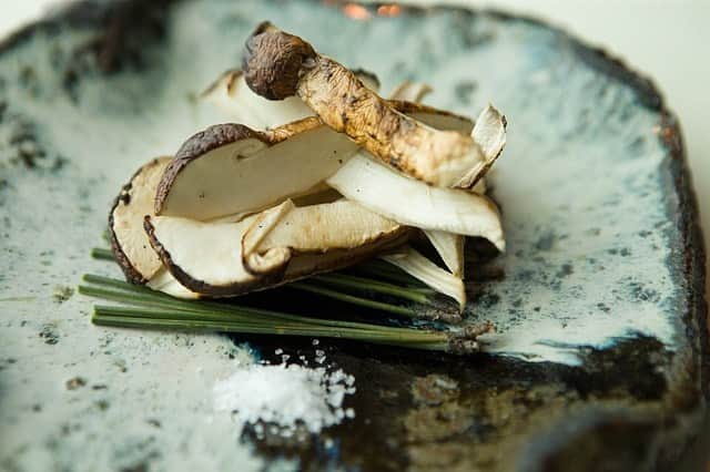 Conrad Tokyoのインスタグラム：「秋の味覚、松茸。香り高く、贅を極める国産の松茸を使ったアラカルトメニューをご用意しました。土瓶蒸し、炭火焼き、天ぷら、フライ、黒毛和牛すき煮など、松茸のおいしさを最大限に引き出したお料理をご堪能いただけます。 http://ow.ly/RIfv50vxWBx Discover the autumn delight of matsutake mushroom at Kazahana.  #コンラッド東京 #ホテル #汐留 #東京 #日本 #新橋 #風花 #日本料理 #松茸 #グルメ #会席 #新橋グルメ #汐留グルメ #ConradTokyo #StayInspired #Conrad #hotel #Tokyo #Japan #Shiodome #Shinbashi #Kazahana #Japanese #lunch #dinner #matsutake #mushroom」