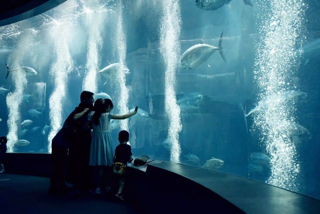 東京都庁広報課のグルメインスタ