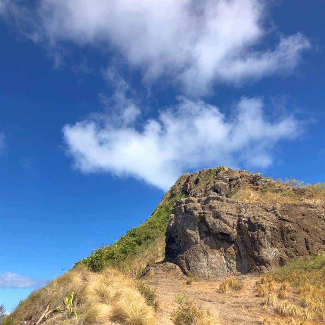 中村克さんのインスタグラム写真 - (中村克Instagram)「ハワイなう！ オフ明けから、立ち上げ合宿としてハワイに来てます🌺  今日は練習後にちょっとした山を登りました。きつかった、、、 #hawaii #ハワイ #合宿」8月15日 17時49分 - katsumi.221