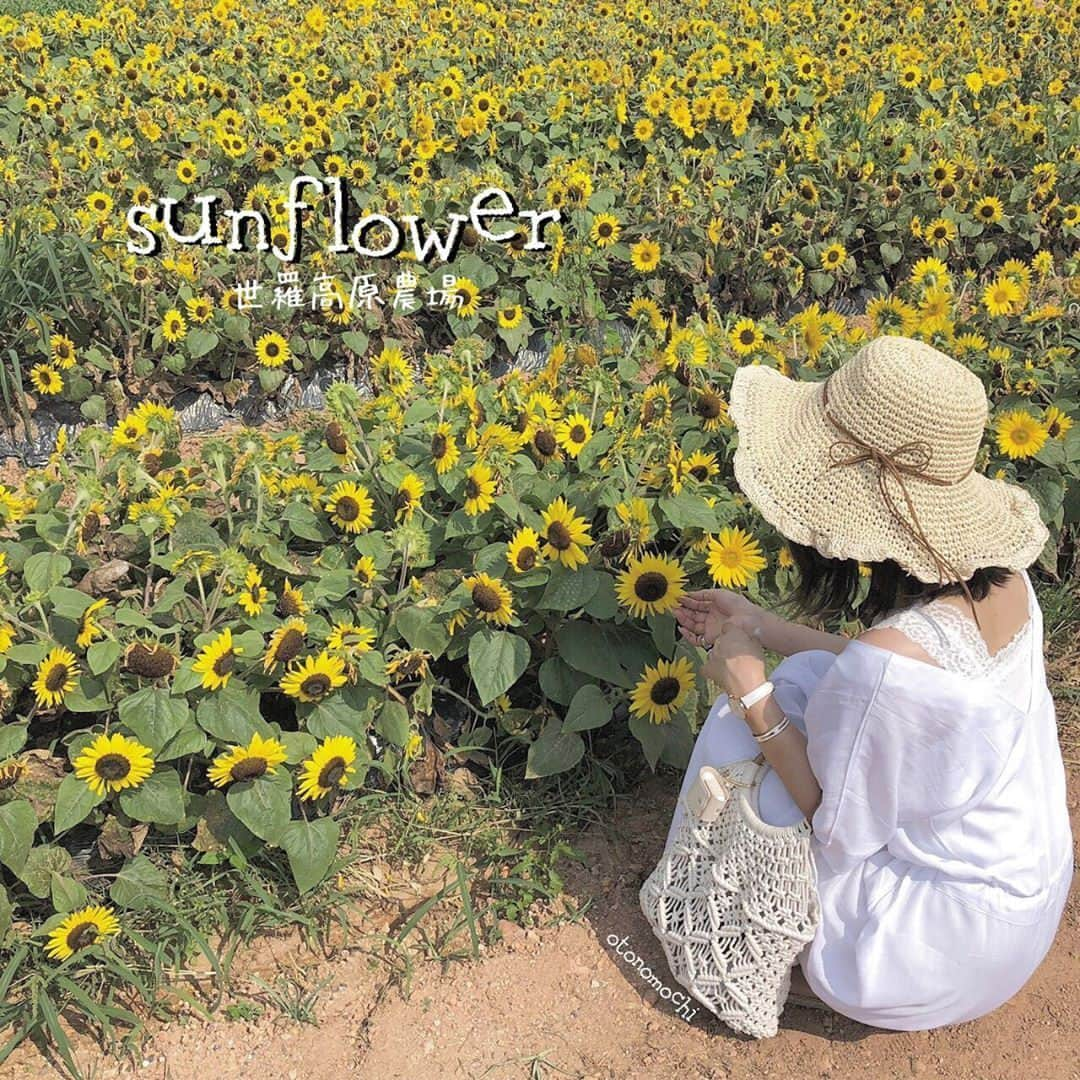 RiLiさんのインスタグラム写真 - (RiLiInstagram)「THE夏の定番スポット⭐💫【ひまわり畑】🌻🌻 ..... 夏の花といえば、ひまわり🌻🌻8月に入って【ひまわり畑】に足を運ぶ子も増えてきたよね🙊💞THE夏な写真が撮れると今年も大人気だよ⭐💫 ひまわり畑コーデはやっぱり白ワンピが定番🍦💫麦わら帽子やサングラスとの夏小物との相性もバツグンだよね😎👒 ひまわりが咲いているのは夏の今だけだから早めに近くのひまわり畑をCheck❣❣太陽みたいなひまわりから元気をもらっちゃおう🌞🌈✨ ❣ ❣ ❣ ❣ ❣ サイトやSNSで掲載させていただくお写真募集中😘📸 かわいいコーデやアイテム、注目スポットなどが撮れたら、ハッシュタグ→#rili_tokyo  を付けて投稿❗ ． Special Thanks💋 Photo by @yukko__gram @iiimasamiiistyle @0517___sakura__ @na__s_8 @bikky_9910 @ee__09__ @__ma0510 @ee__09__ @hrn_0324 @otonomochi ． #夏 #夏コーデ #sunflower #ひまわり #ひまわり畑 #お花畑 #向日葵畑 #向日葵 #ひまわり畑コーデ #ワンピース #くすみカラーコーデ  #消えそうな色コーデ  #ブラウンコーデ #ベージュコーデ  #ワントーンコーデ #シンプルコーデ  #カジュアルコーデ #ガーリーコーデ #置き画 #置き画くら部 #今日のコーデ #コーデ #コーディネート #RiLi  #おしゃれさんと繋がりたい #お洒落さんと繋がりたい #ファッション #패션스타그램 #ootd」8月15日 18時00分 - rili.tokyo